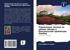 Capa do livro de Управление лесами на уровне общин в Центральной провинции Замбии 