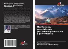 Bookcover of Meditazione, panpsichismo, percezione quantitativa e performance