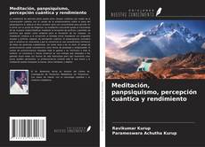 Bookcover of Meditación, panpsiquismo, percepción cuántica y rendimiento