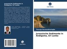 Jurassische Sedimente in Andigama, Sri Lanka kitap kapağı