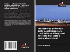 Bookcover of Processo ed economia della desalinizzazione con l'utilizzo di impianti nucleari di piccole e medie dimensioni