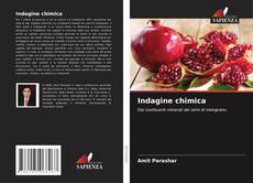 Bookcover of Indagine chimica