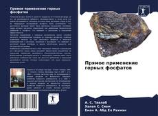 Borítókép a  Прямое применение горных фосфатов - hoz
