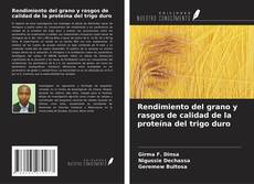 Bookcover of Rendimiento del grano y rasgos de calidad de la proteína del trigo duro