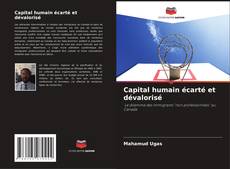 Bookcover of Capital humain écarté et dévalorisé