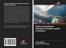 Bookcover of Interconnessione fluviale (tramite canali e tunnel)