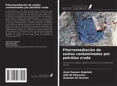Buchcover von Fitorremediación de suelos contaminados por petróleo crudo
