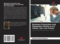 Bookcover of Business Ecosystem and Workplace Stress in Cd Valles, San Luis Potosí