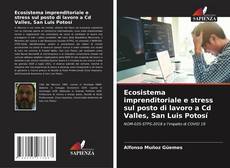 Bookcover of Ecosistema imprenditoriale e stress sul posto di lavoro a Cd Valles, San Luis Potosí