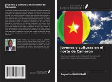 Buchcover von Jóvenes y culturas en el norte de Camerún