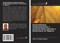 Обложка Sostenibilidad medioambiental y productividad agrícola y alimentaria en Nigeria