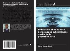 Evaluación de la calidad de las aguas subterráneas mediante la geoinformática kitap kapağı