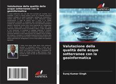 Buchcover von Valutazione della qualità delle acque sotterranee con la geoinformatica
