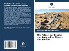 Buchcover von Die Folgen der Erosion von Agbekoi im Norden von Abidjan