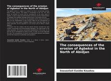 Bookcover of The consequences of the erosion of Agbekoi in the North of Abidjan