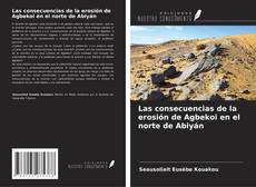 Portada del libro de Las consecuencias de la erosión de Agbekoi en el norte de Abiyán