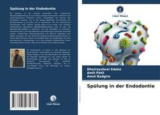 Portada del libro de Spülung in der Endodontie