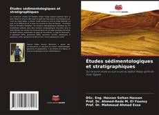 Études sédimentologiques et stratigraphiques kitap kapağı