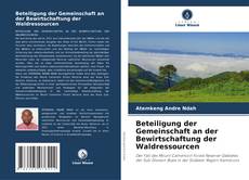 Buchcover von Beteiligung der Gemeinschaft an der Bewirtschaftung der Waldressourcen