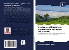 Обложка Участие сообществ в управлении лесными ресурсами