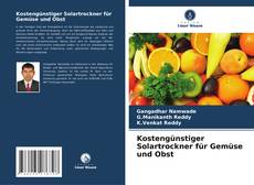 Buchcover von Kostengünstiger Solartrockner für Gemüse und Obst