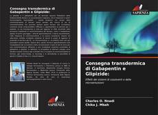 Consegna transdermica di Gabapentin e Glipizide:的封面