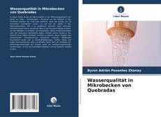 Portada del libro de Wasserqualität in Mikrobecken von Quebradas