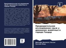 Bookcover of Предварительное исследование грыж у домашних животных в городе Гондар