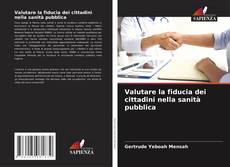 Bookcover of Valutare la fiducia dei cittadini nella sanità pubblica