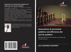 Assunzione di personale pubblico ed efficienza dei servizi pubblici kitap kapağı