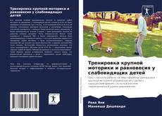 Portada del libro de Тренировка крупной моторики и равновесия у слабовидящих детей
