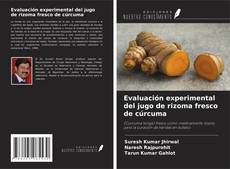 Обложка Evaluación experimental del jugo de rizoma fresco de cúrcuma