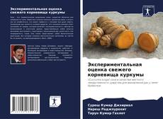 Bookcover of Экспериментальная оценка свежего корневища куркумы