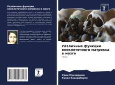 Обложка Различные функции внеклеточного матрикса в мозге