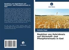 Portada del libro de Reaktion von Hybridmais auf Stickstoff- und Phosphoreinsatz in Ged