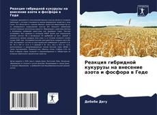 Buchcover von Реакция гибридной кукурузы на внесение азота и фосфора в Геде