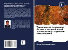 Portada del libro de Термическое поведение бетона с летучей золой при горячем ускоренном отверждении