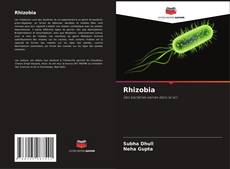 Bookcover of Rhizobia