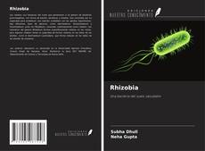 Bookcover of Rhizobia