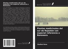 Bookcover of Plantas medicinales del sur de Rajastán con especial referencia a Banswara