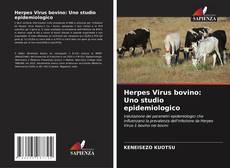Herpes Virus bovino: Uno studio epidemiologico kitap kapağı