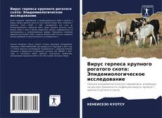 Bookcover of Вирус герпеса крупного рогатого скота: Эпидемиологическое исследование