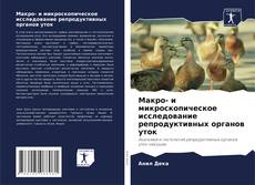 Capa do livro de Макро- и микроскопическое исследование репродуктивных органов уток 