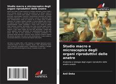 Buchcover von Studio macro e microscopico degli organi riproduttivi delle anatre