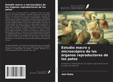 Borítókép a  Estudio macro y microscópico de los órganos reproductores de los patos - hoz