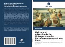 Buchcover von Makro- und mikroskopische Untersuchung der Fortpflanzungsorgane von Enten