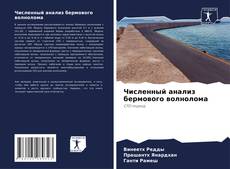 Bookcover of Численный анализ бермового волнолома