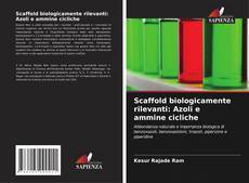 Copertina di Scaffold biologicamente rilevanti: Azoli e ammine cicliche