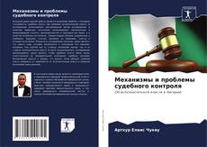 Механизмы и проблемы судебного контроля kitap kapağı