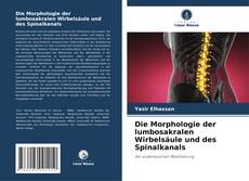 Copertina di Die Morphologie der lumbosakralen Wirbelsäule und des Spinalkanals